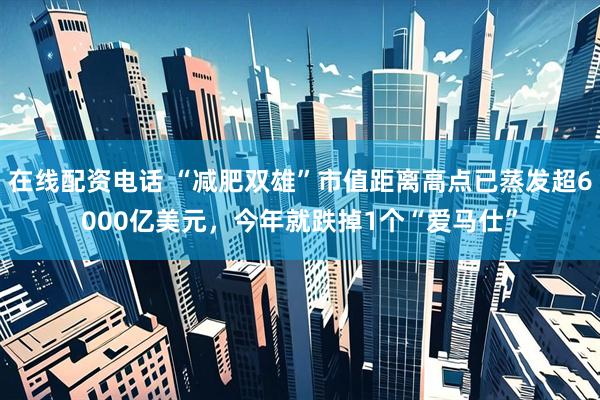 在线配资电话 “减肥双雄”市值距离高点已蒸发超6000亿美元，今年就跌掉1个“爱马仕”