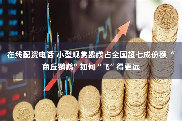 在线配资电话 小型观赏鹦鹉占全国超七成份额 “商丘鹦鹉”如何“飞”得更远