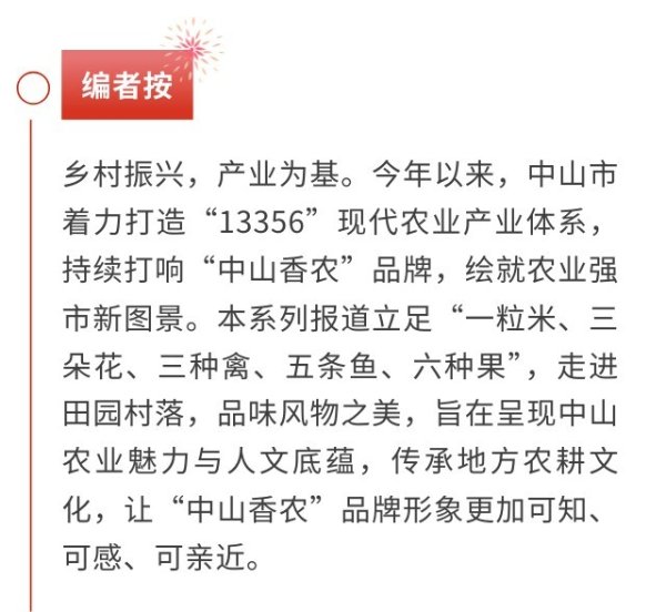 我国合法的配资平台 从富硒田到“稻梦空间”，科技赋能下的生态米香 | 中山13356风物